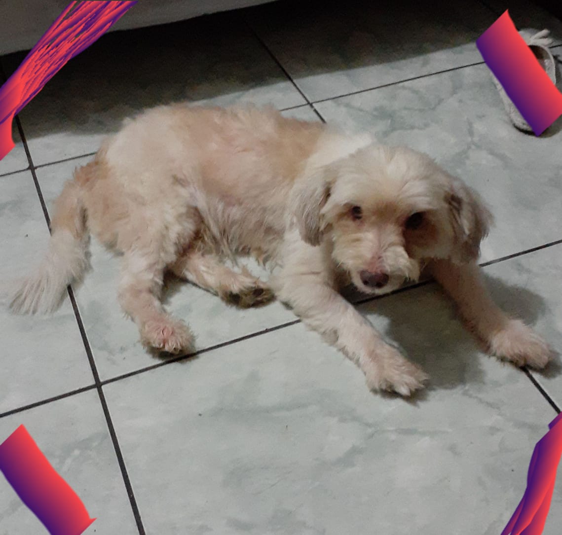 Boulevard los hÃ©roes 